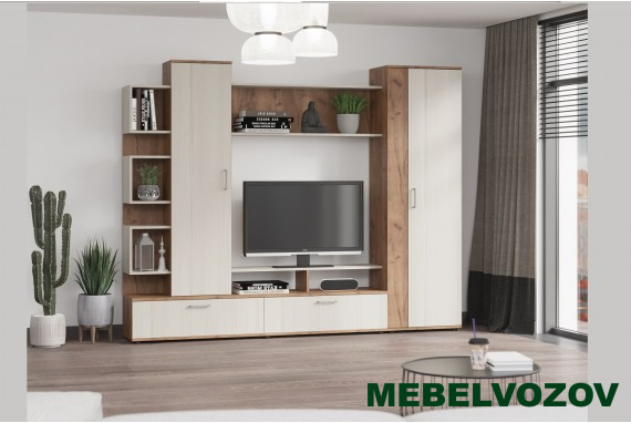 Стенка в гостиную ТВА "ДАРИНА" от интернет магазина Mebelvozov в Нижнем Новгороде
