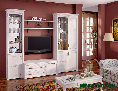 Шкаф для книг Афродита 10 от компании Мебельвозов