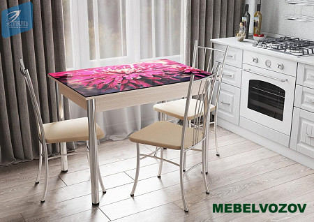 Обеденный стол №5 с фотопечатью от магазина Мебельвозов в Нижнем Новгороде