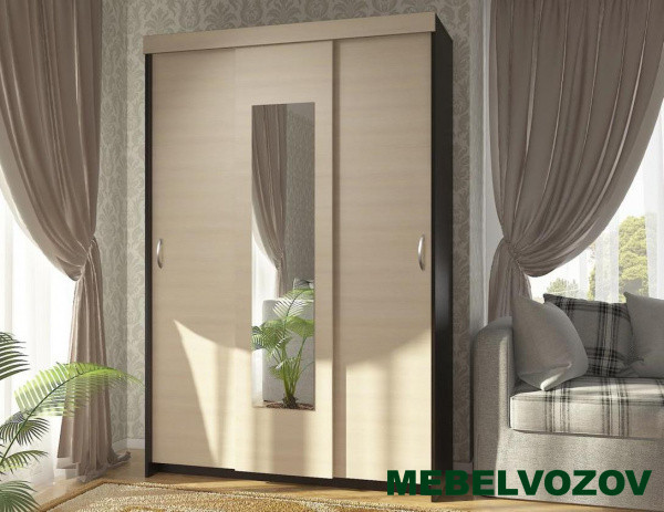 Шкаф-купе Комфорт 9 М от компании Мебельвозов в Нижнем Новгороде