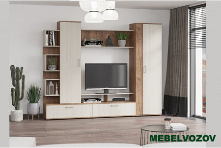 Стенка в гостиную ТВА "ДАРИНА" от интернет магазина Mebelvozov в Нижнем Новгороде