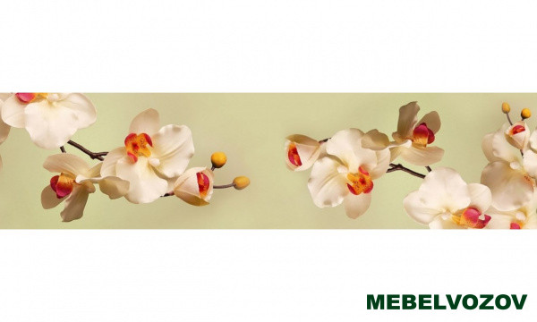 Стеновая панель с фотопечатью Кухня Бергамо фото от Мебельвозов в Нижнем Новгороде