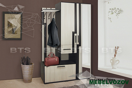 Прихожая Лира от магазина Мебельвозов в Нижнем Новгороде