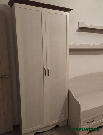 Шкаф двухдверный в гостинную Латте 2 от компании Мебельвозов в Нижнем Новгороде