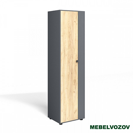 Шкаф распашной "Мини-Лайт" МЛ-2 (графит/дуб золотой крафт) от компании Мебельвозов в Нижнем Новгороде