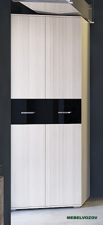 Шкаф 2х-дверный Сити 2 от компании Мебельвозов в Нижнем Новгороде