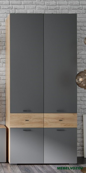 Шкаф 2-х створчатый Дублин от компании Мебельвозов в Нижнем Новгороде