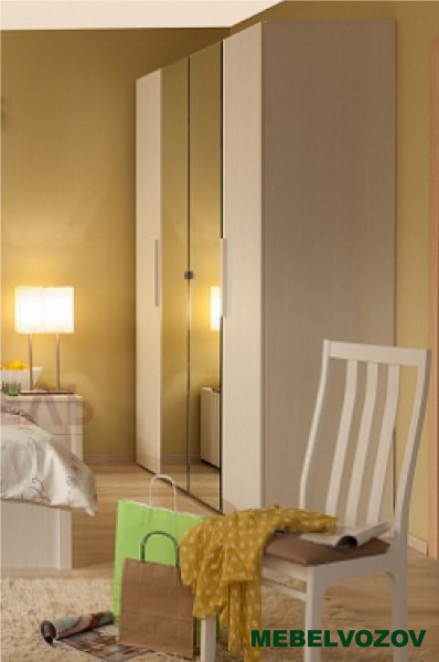 Шкаф с зеркалом для одежды Bauhaus 9  от компании Мебельвозов в Нижнем Новгороде