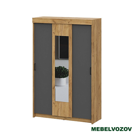 Шкаф-купе Вена ШК 101 от компании Мебельвозов в Нижнем Новгороде