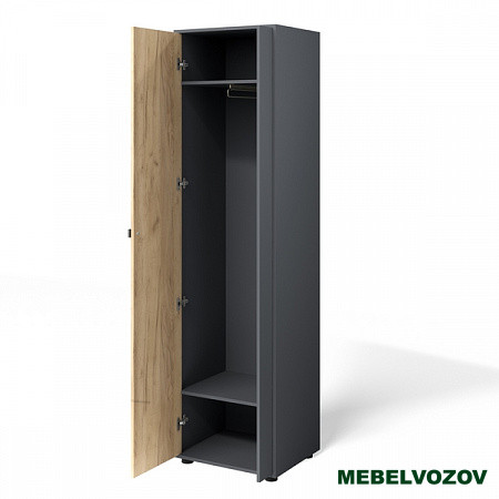 Шкаф распашной "Мини-Лайт" МЛ-2 (графит/дуб золотой крафт) от компании Мебельвозов в Нижнем Новгороде