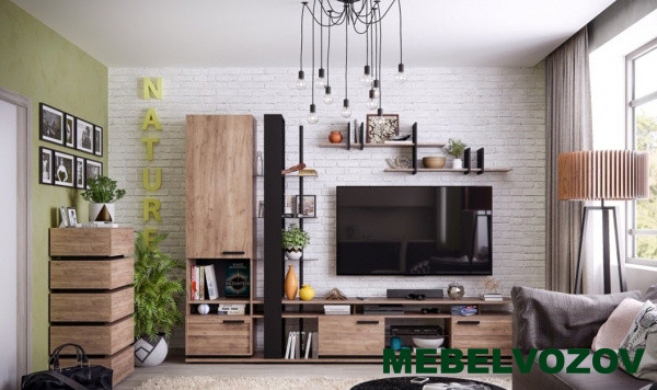 Гостиная NATURE Комплект 3 от Mebelvozov в Нижнем Новгороде
