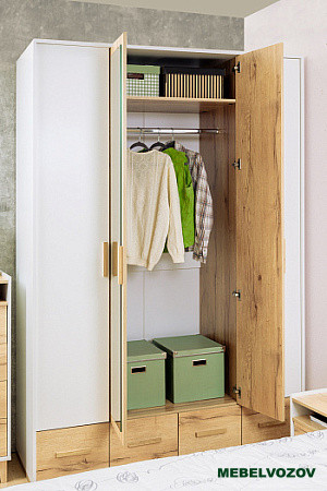Шкаф для одежды и белья Айрис 555 (Белый/Дуб Золотистый) от компании Мебельвозов в Нижнем Новгороде