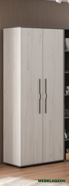 Шкаф двухдверный Бастион от компании Мебельвозов в Нижнем Новгороде