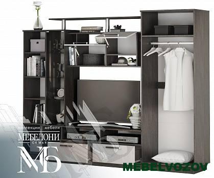 Стенка в гостиную Вега от интернет магазина Mebelvozov в Нижнем Новгороде