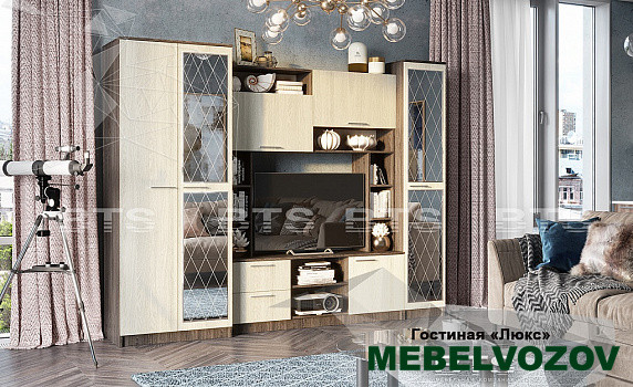 Гостиная Флора Люкс с зеркалом от интернет магазина Mebelvozov в Нижнем Новгороде
