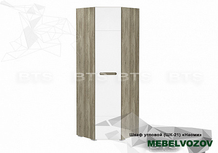 Шкаф угловой Наоми ШК-21 от компании Мебельвозов в Нижнем Новгороде